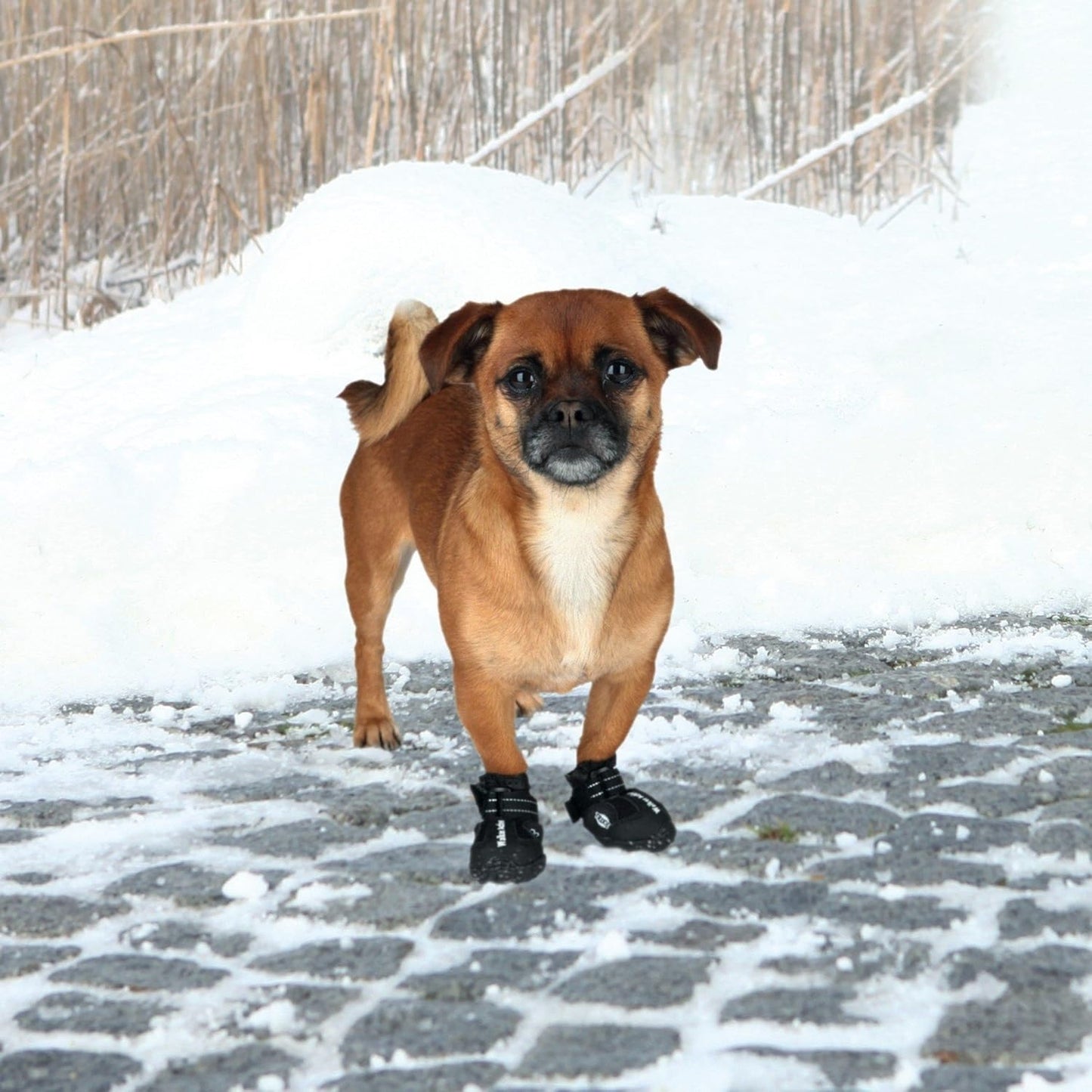 TRIXIE Walker Active Hondenschoenen – Zwart, Antislip