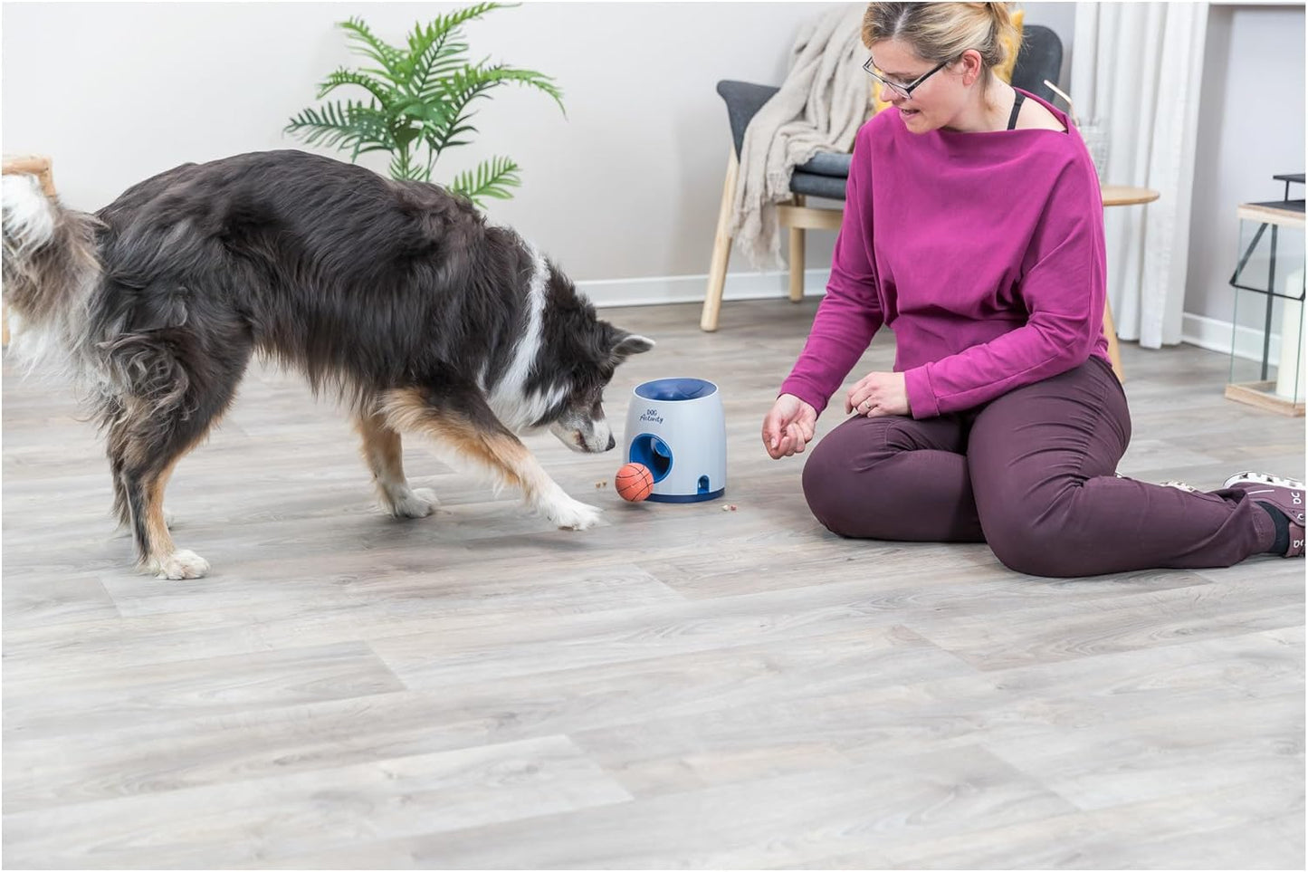 TRIXIE Intelligentiespel voor Honden – Ball & Treat Strategie Spel