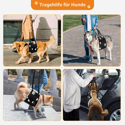 Verstelbare Honden Draag- en Loophulp