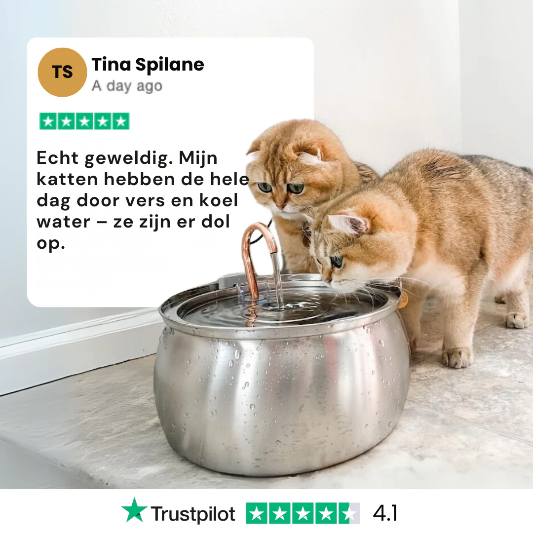 Fit & Fris Fontijnfilters