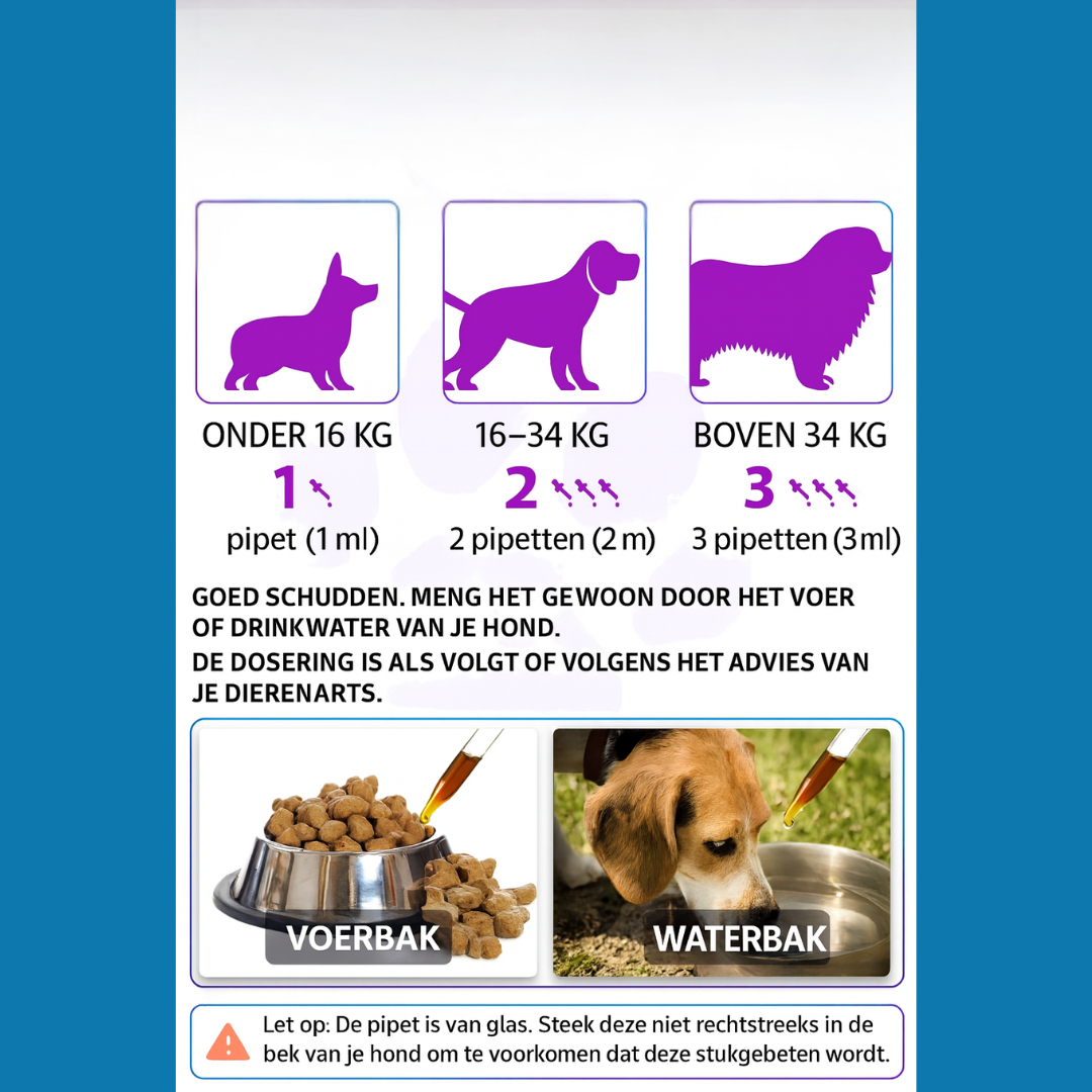 15-in-1 Multivitamine Druppels | Complete Dagelijkse Ondersteuning