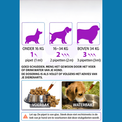 15-in-1 Multivitamine Druppels | Complete Dagelijkse Ondersteuning