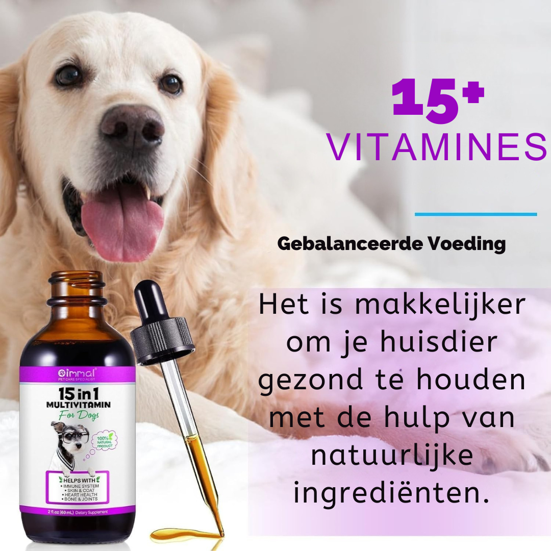 15-in-1 Multivitamine Druppels | Complete Dagelijkse Ondersteuning