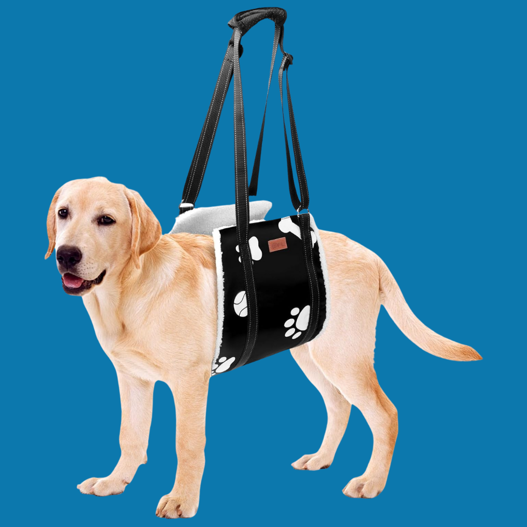 Verstelbare Honden Draag- en Loophulp