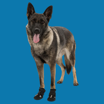 TRIXIE Walker Active Hondenschoenen – Zwart, Antislip