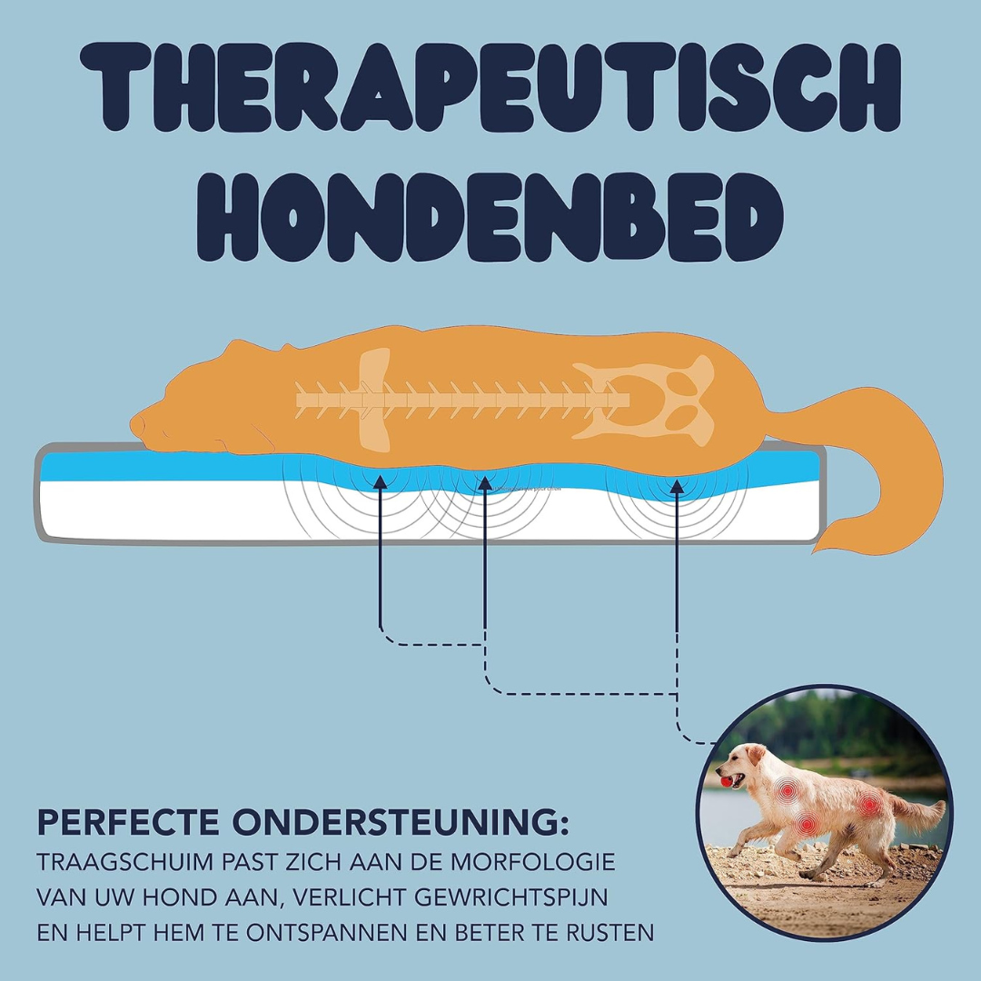 Orthopedisch Hondenbed – Traagschuim & Waterafstotende Hoes