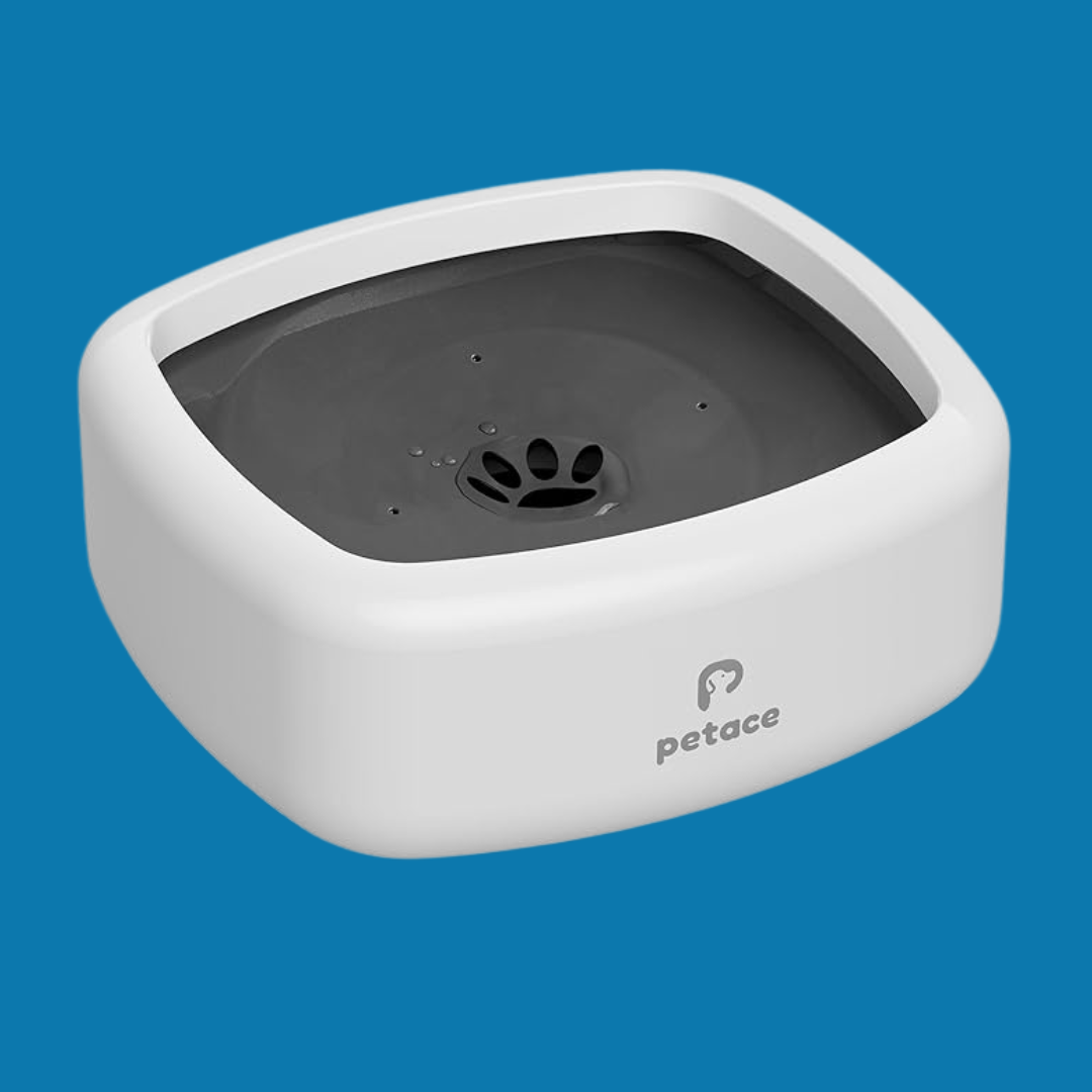 Lekvrije Hondenbak – Antiknoei & Antislip Waterbak