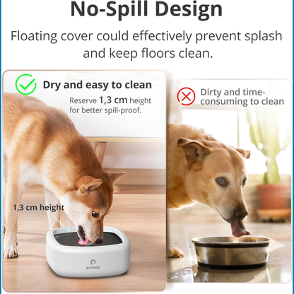 Lekvrije Hondenbak – Antiknoei & Antislip Waterbak