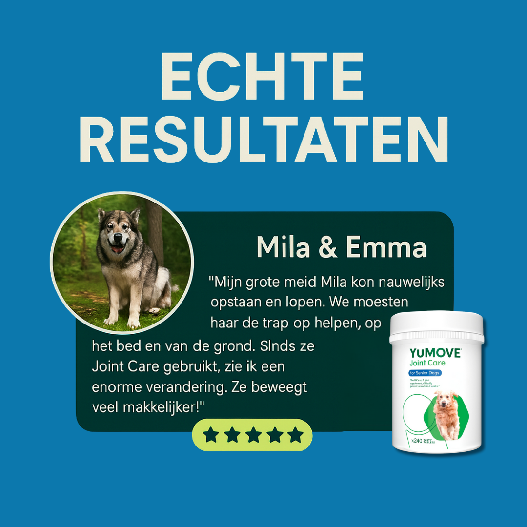 YuMove Joint Care  | Ondersteunt heupen & gewrichten